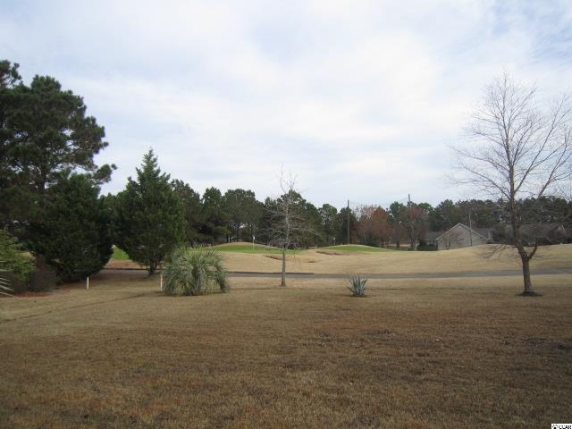 1507 Coventry Road Surfside Beach, SC 29575 - Photo 22 of 25 Gallery Image 22