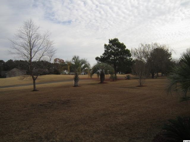 1507 Coventry Road Surfside Beach, SC 29575 - Photo 23 of 25 Gallery Image 23