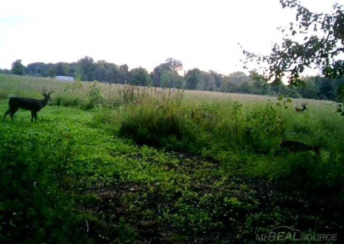 0 Bordman Road Allenton, MI 48002 - Photo 1 of 2