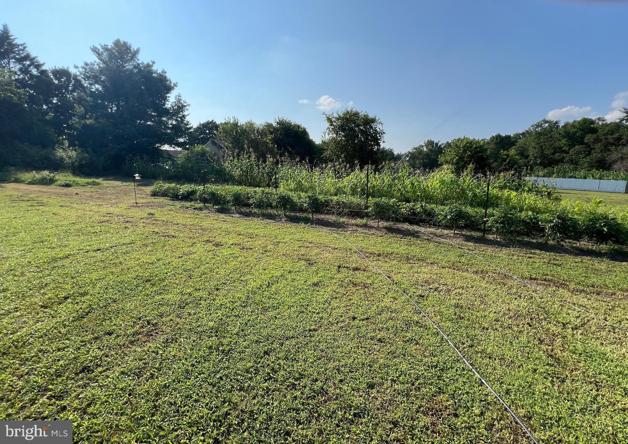 34788 Susan Beach Road Laurel, DE 19956 - Photo 12 of 36