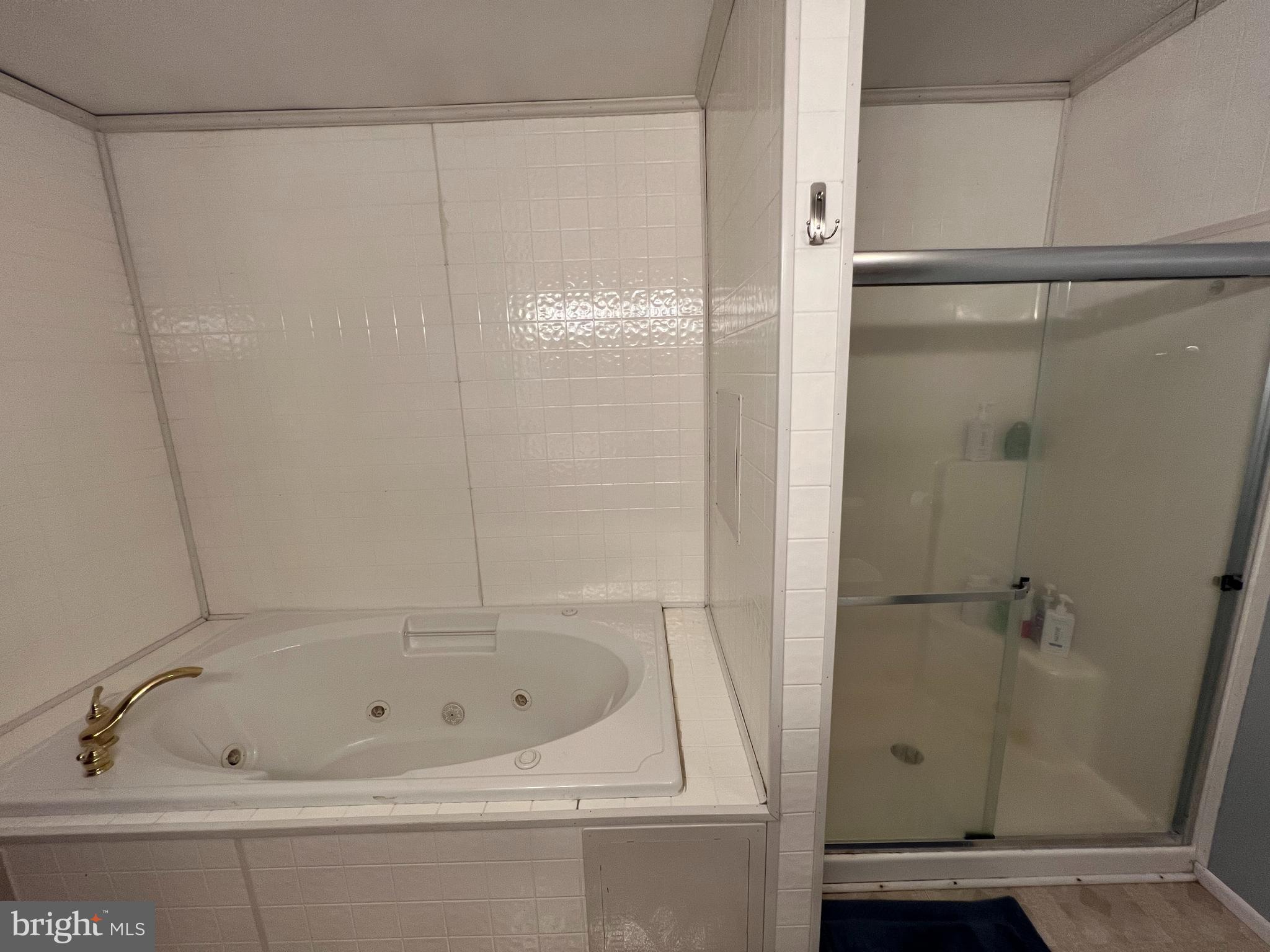 34788 Susan Beach Road Laurel, DE 19956 - Photo 26 of 36 a bathroom with a bathtub and a shower