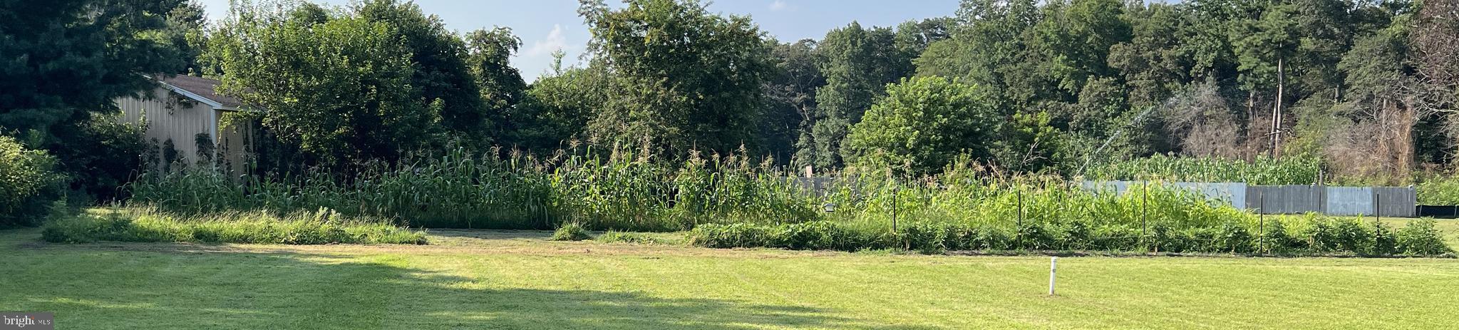 34788 Susan Beach Road Laurel, DE 19956 - Photo 35 of 36 a view of swimming pool from a yard