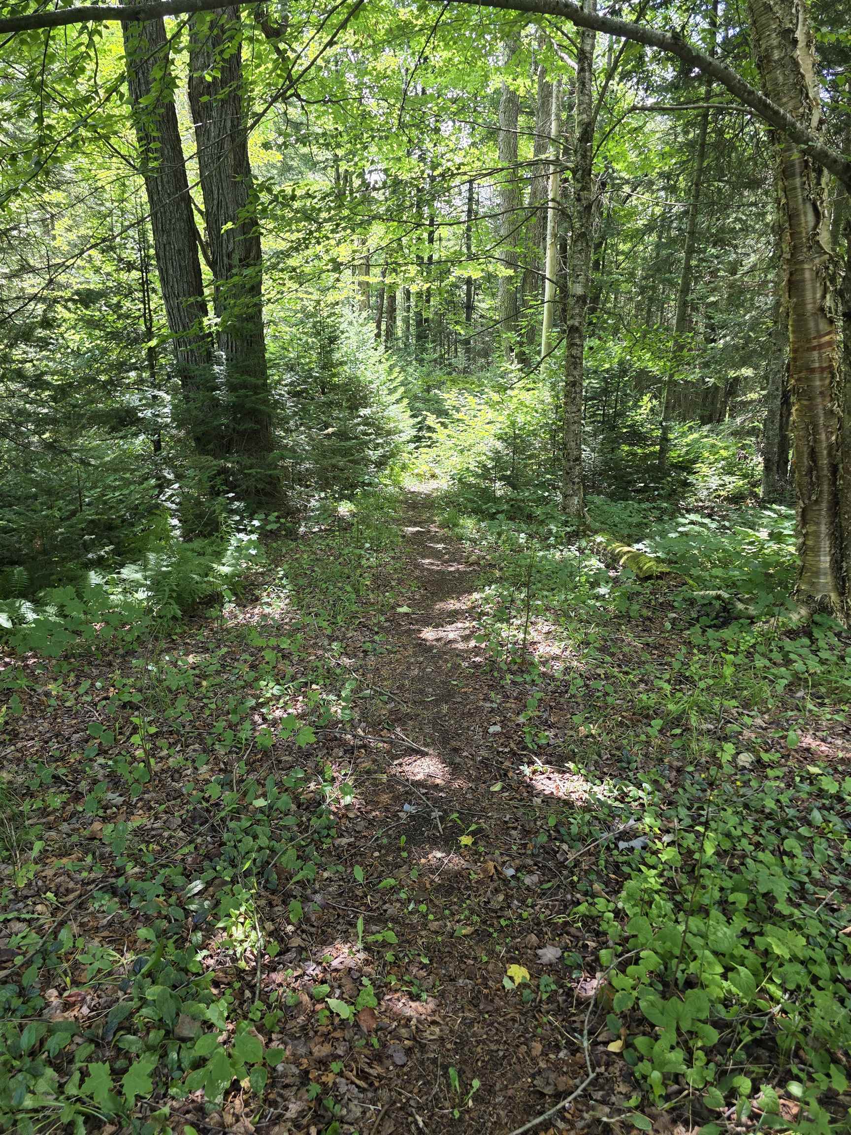 2328 Gore Road Holland, VT 05829 - Photo 8 of 49 Gallery Image 8