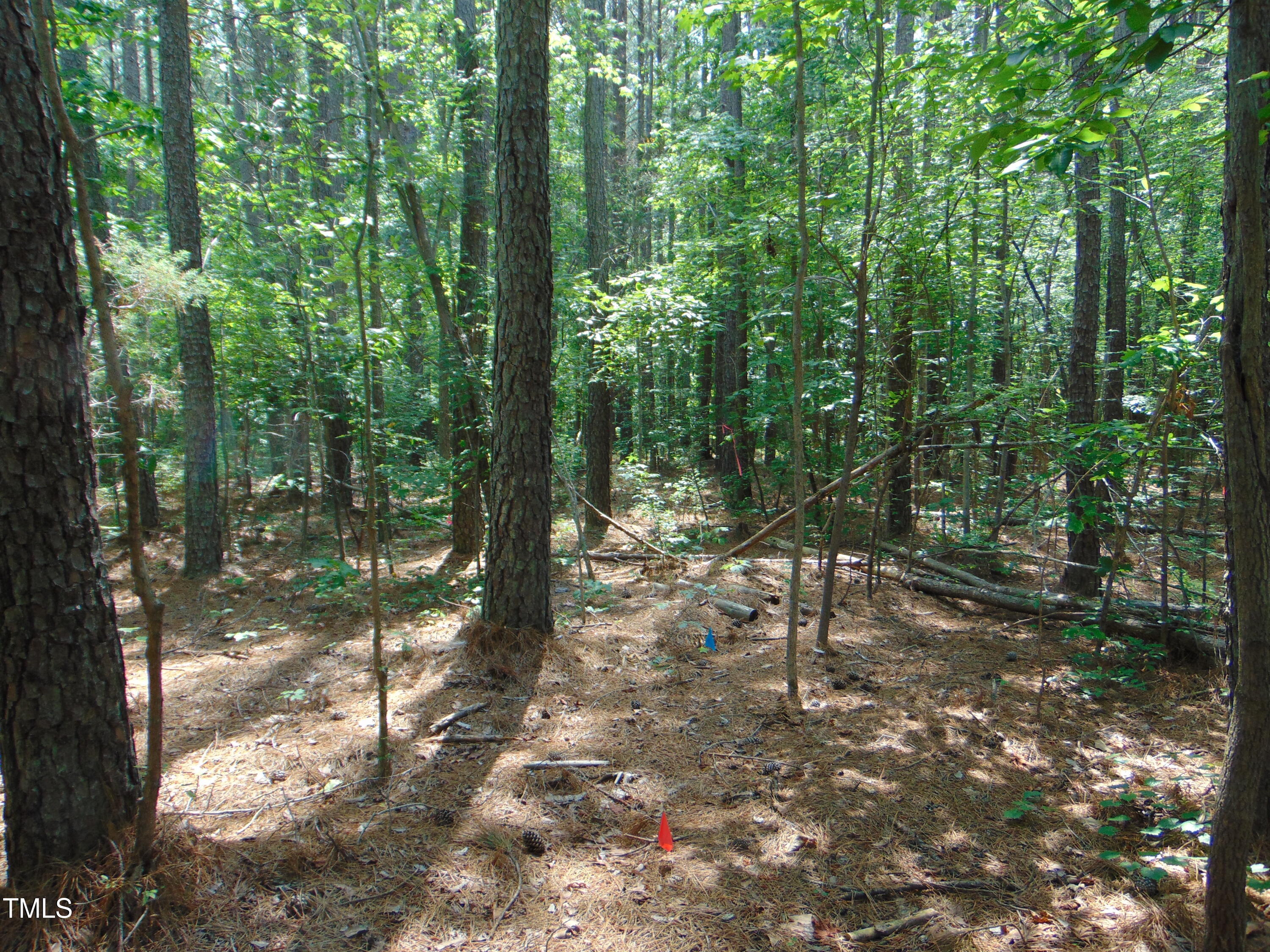 0 Shady Oak Road Roxboro, NC 27574 - Photo 15 of 18 a view of outdoor space and trees