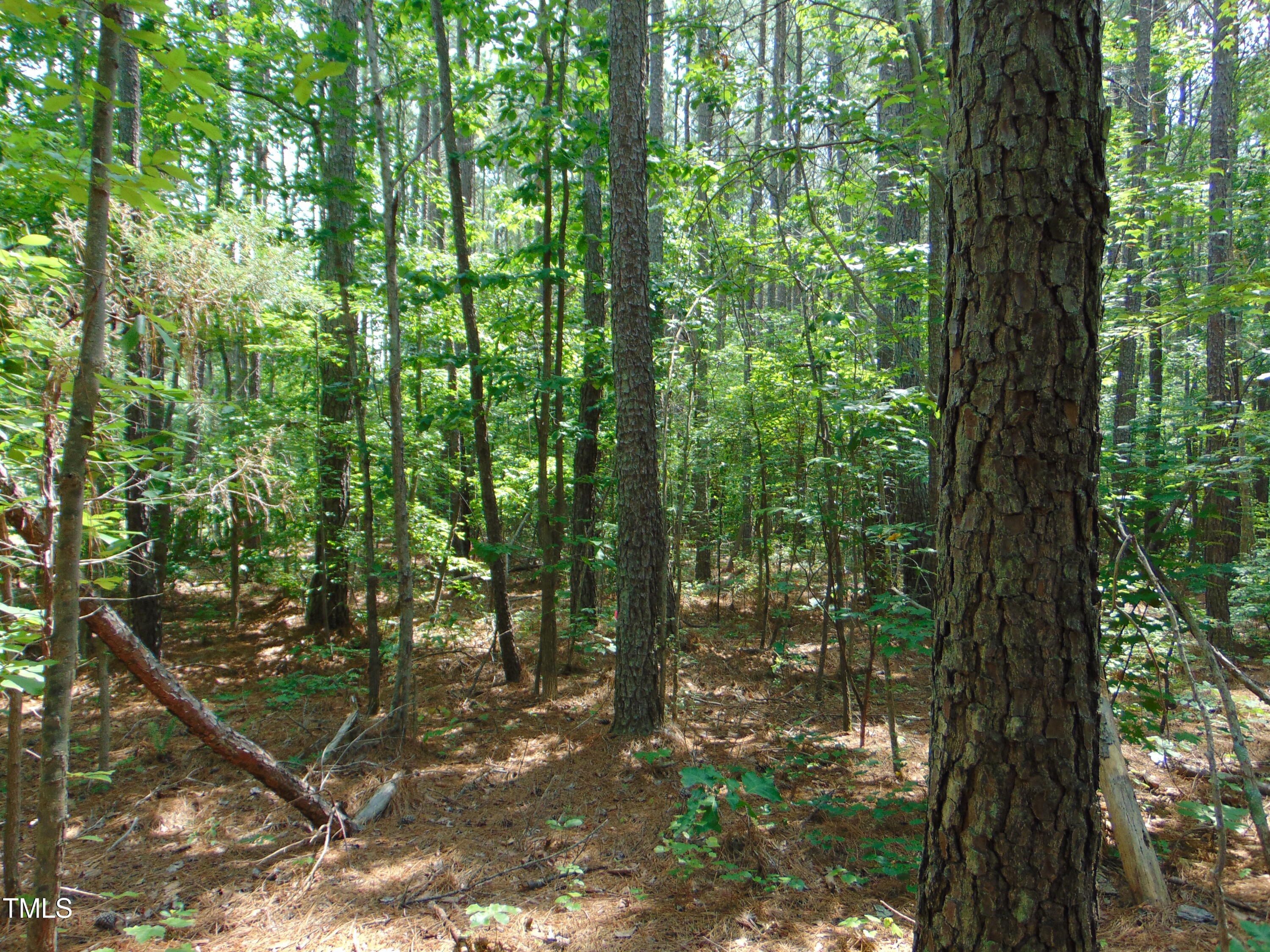 0 Shady Oak Road Roxboro, NC 27574 - Photo 16 of 18 a view of outdoor space and trees