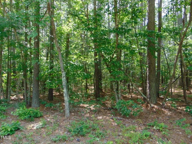 a view of outdoor space and green space