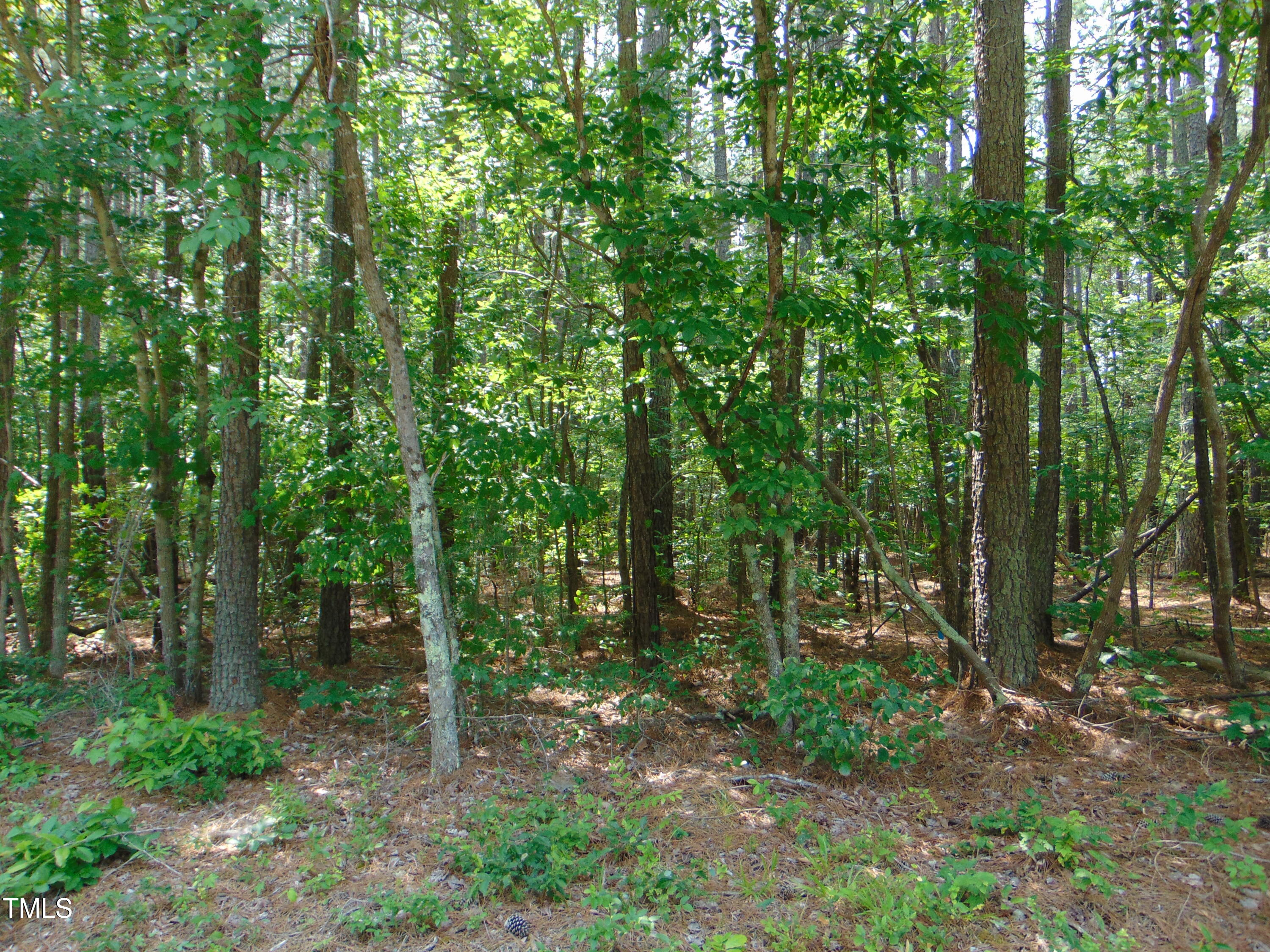 0 Shady Oak Road Roxboro, NC 27574 - Photo 18 of 18 a view of outdoor space and green space
