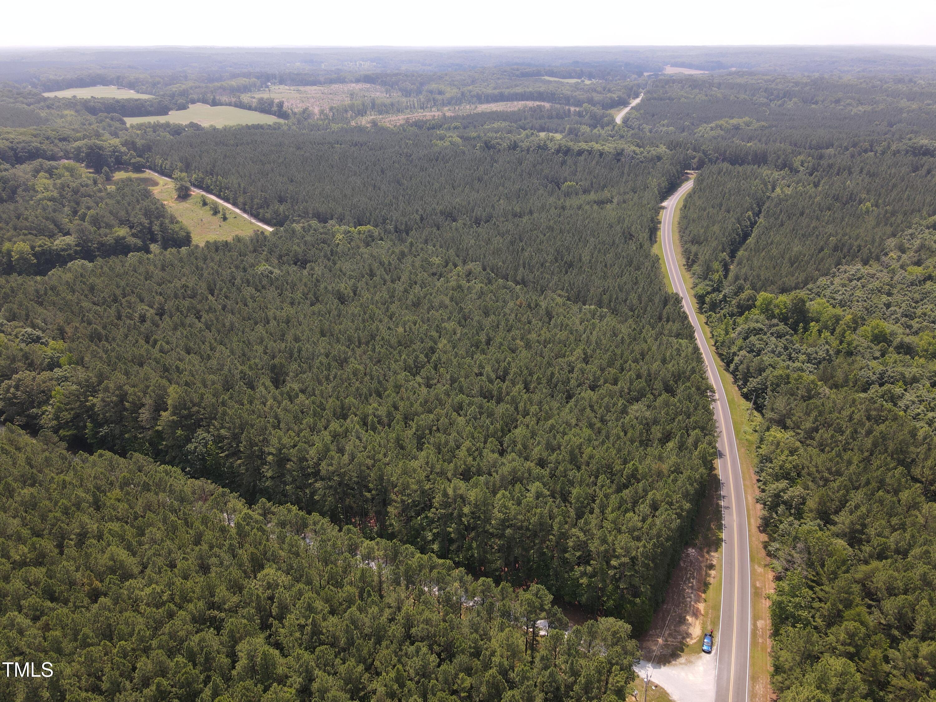 0 Shady Oak Road Roxboro, NC 27574 - Photo 10 of 18 a view of a forest with a mountain in the background