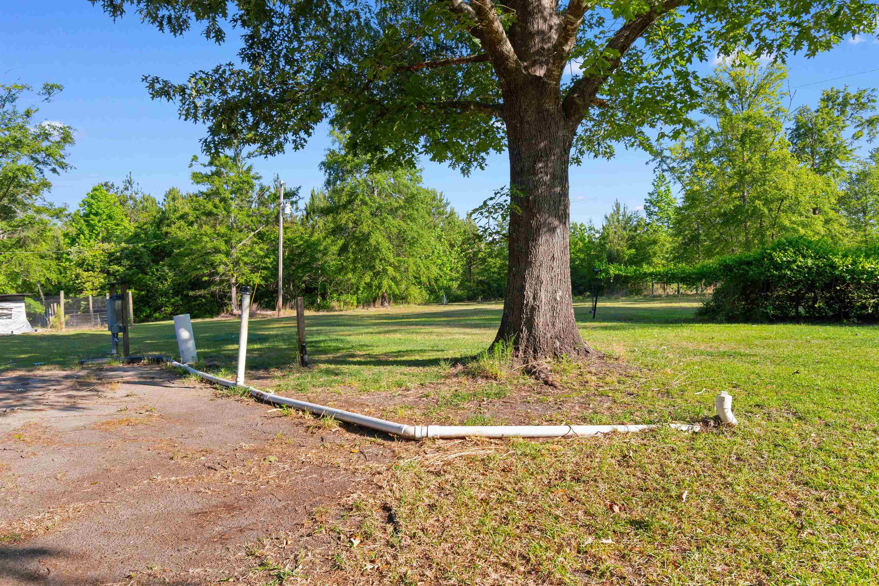 1040 Wee Tee Road Andrews, SC 29510 - Photo 52 of 55