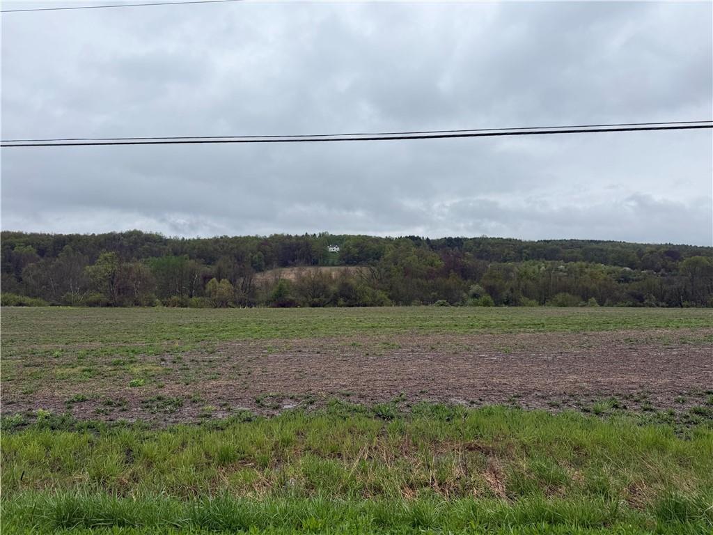 0 Dunn Valley Road Waterford, PA 16441 - Photo 40 of 43