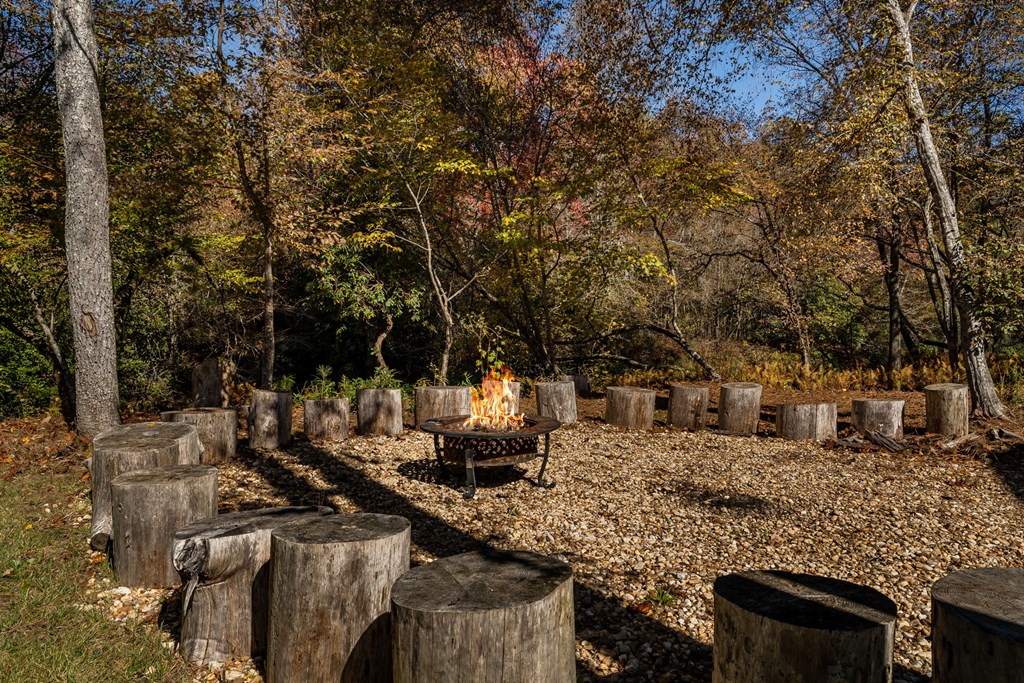 1248 Sunset Road Epworth, GA 30541 - Photo 47 of 65