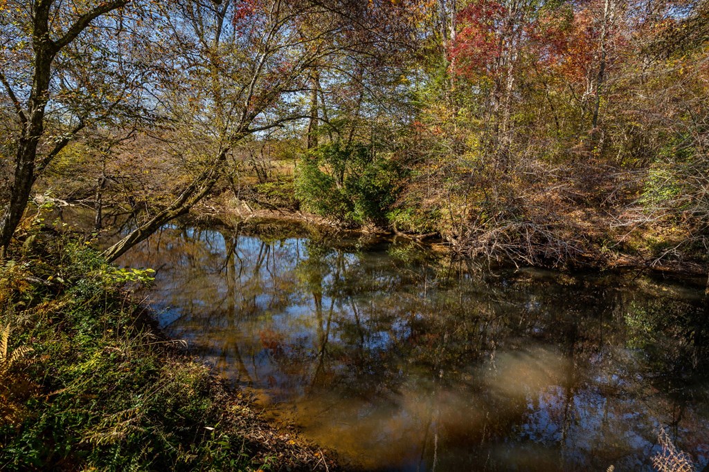 1248 Sunset Road Epworth, GA 30541 - Photo 50 of 65