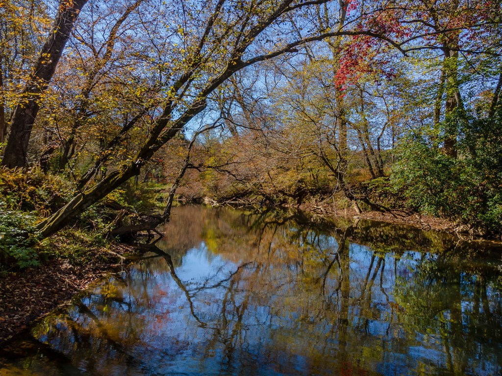 1248 Sunset Road Epworth, GA 30541 - Photo 5 of 65