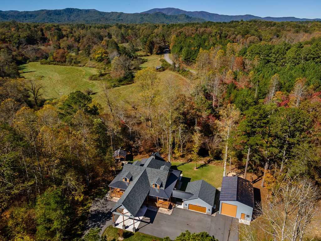 1248 Sunset Road Epworth, GA 30541 - Photo 62 of 65 a view of lake and mountain