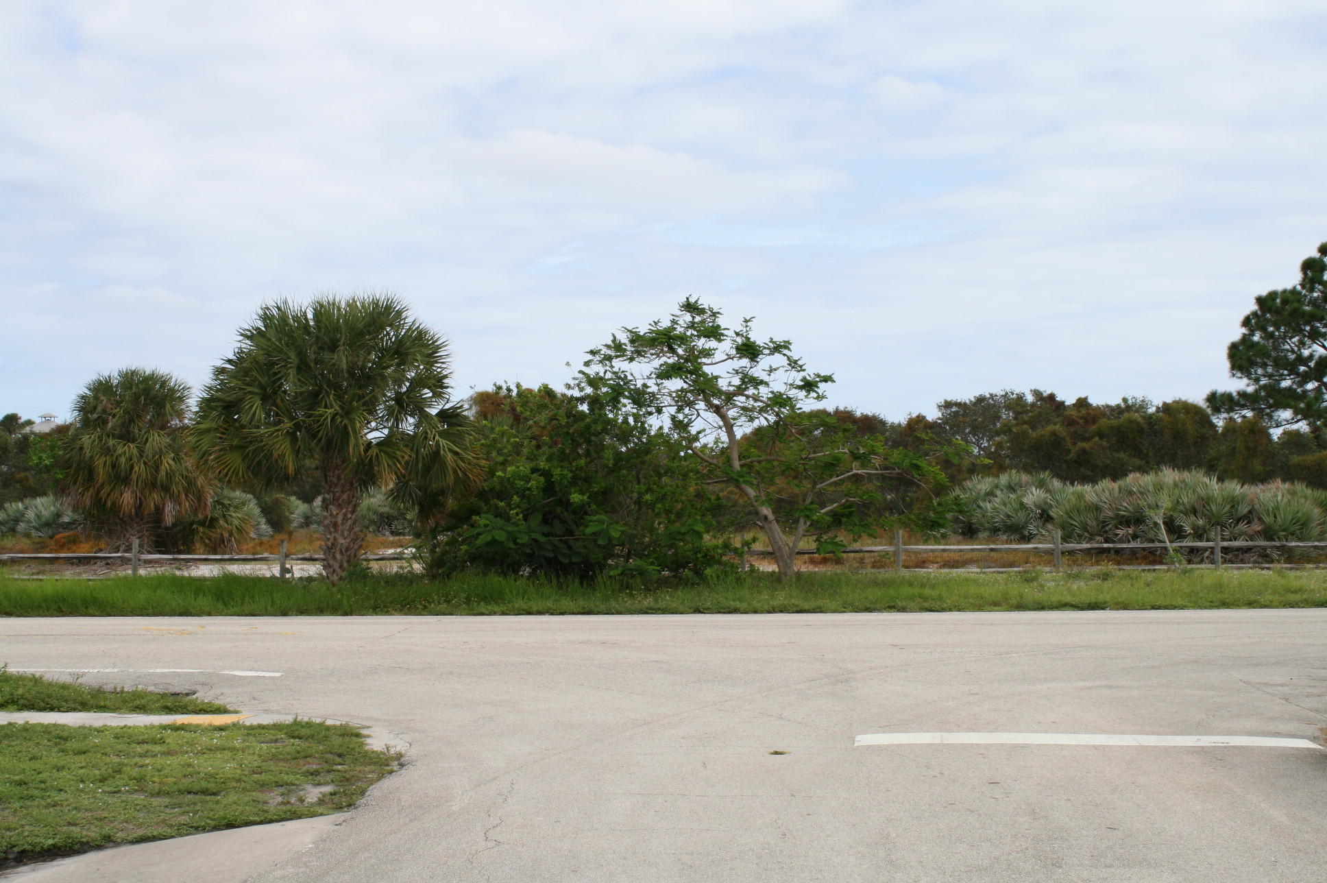 1013 Florence Road Lake Worth, FL 33462 - Photo 39 of 39 IMG_1632