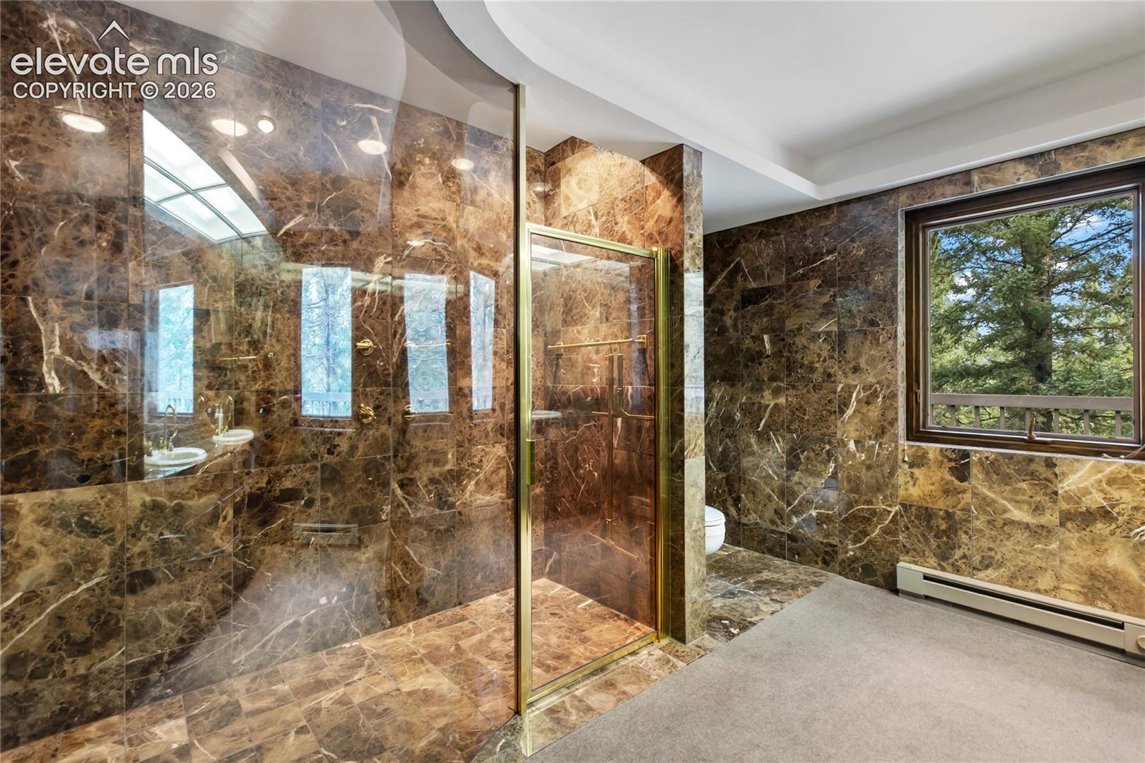 580 Mills Ranch Road Woodland Park, CO 80863 - Photo 10 of 26 Gallery Image 10