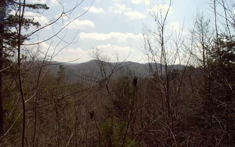 491 Mountain Tops Road Blue Ridge, GA 30513 - Photo 1 of 1 Main View
