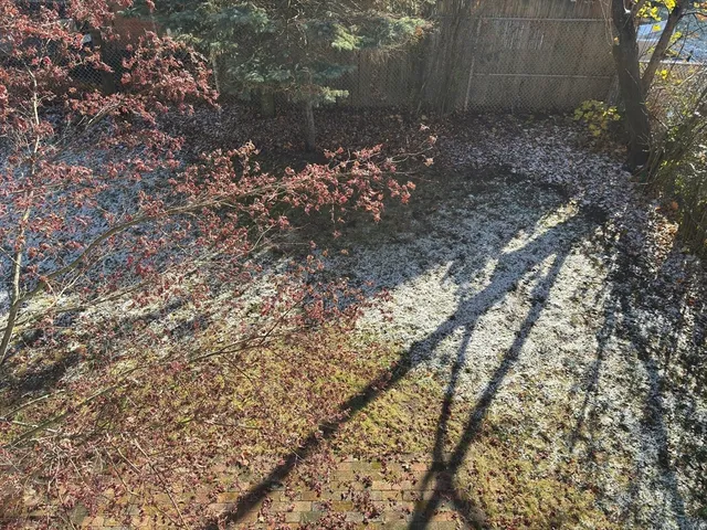 a view of a wooden fence