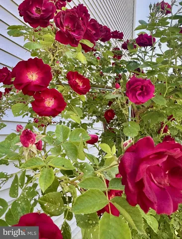 $580,000 | 510 Cilantro Court, Middletown, DE 19709