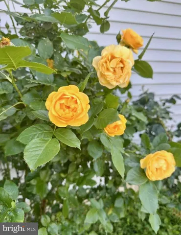 $580,000 | 510 Cilantro Court, Middletown, DE 19709