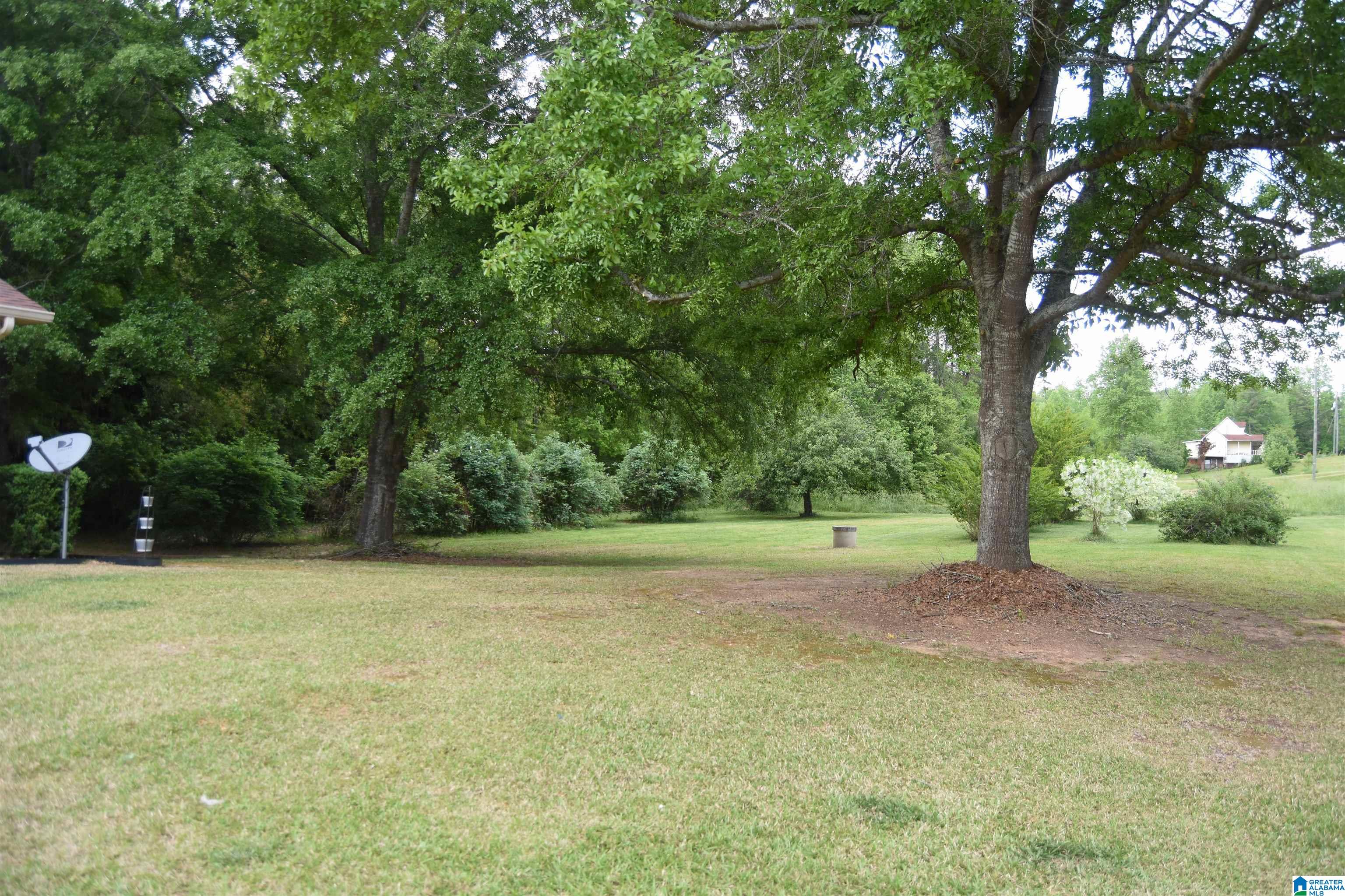 4797 County Road 43 Heflin, AL 36264 - Photo 47 of 48