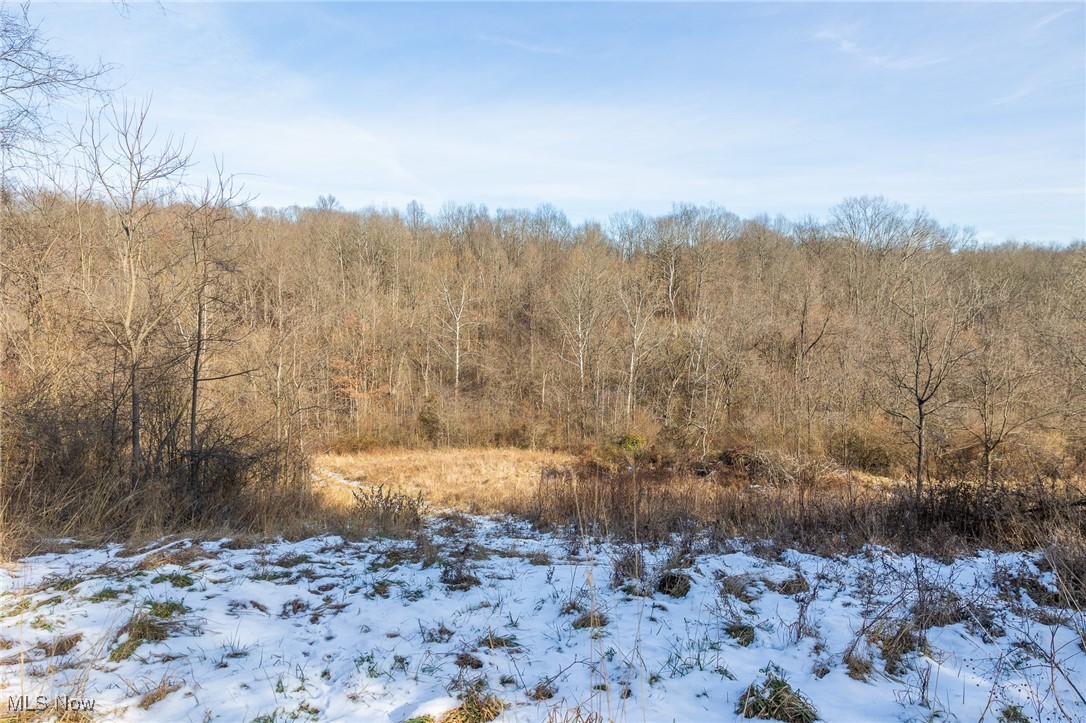 377 State Route Malta, OH 43758 - Photo 23 of 36 View of snow covered land featuring a view of trees