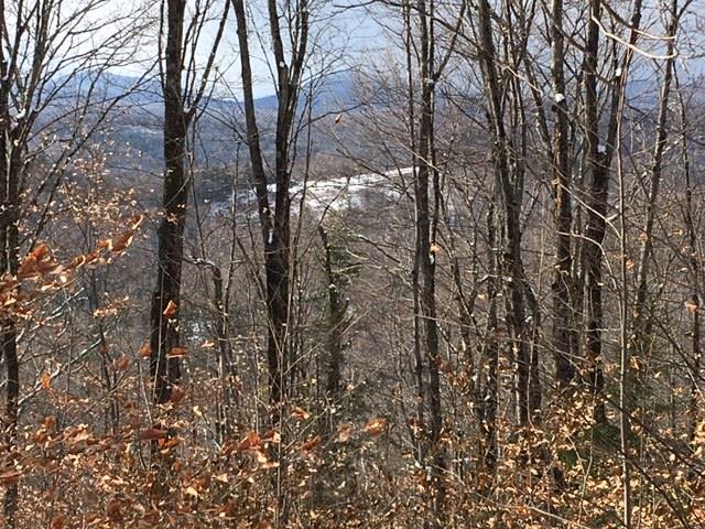 Emerson Road Topsham, VT 05076 - Photo 1 of 11
