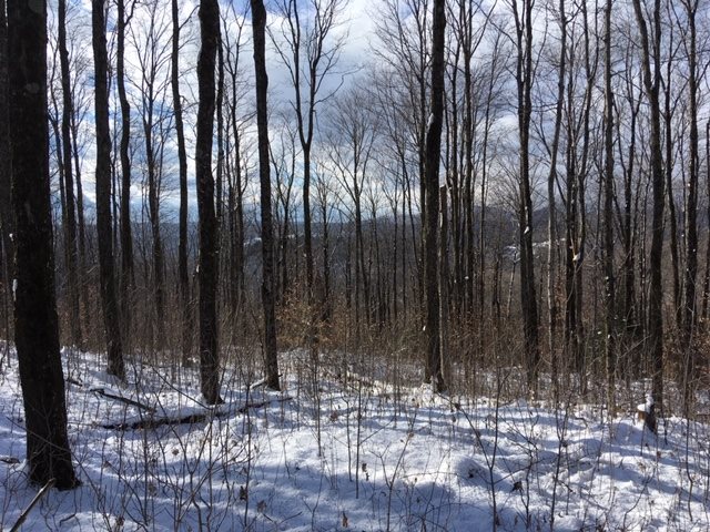 Emerson Road Topsham, VT 05076 - Photo 3 of 11