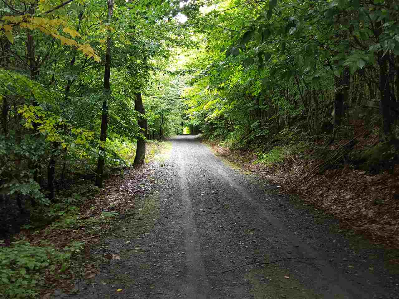 Emerson Road Topsham, VT 05076 - Photo 5 of 11