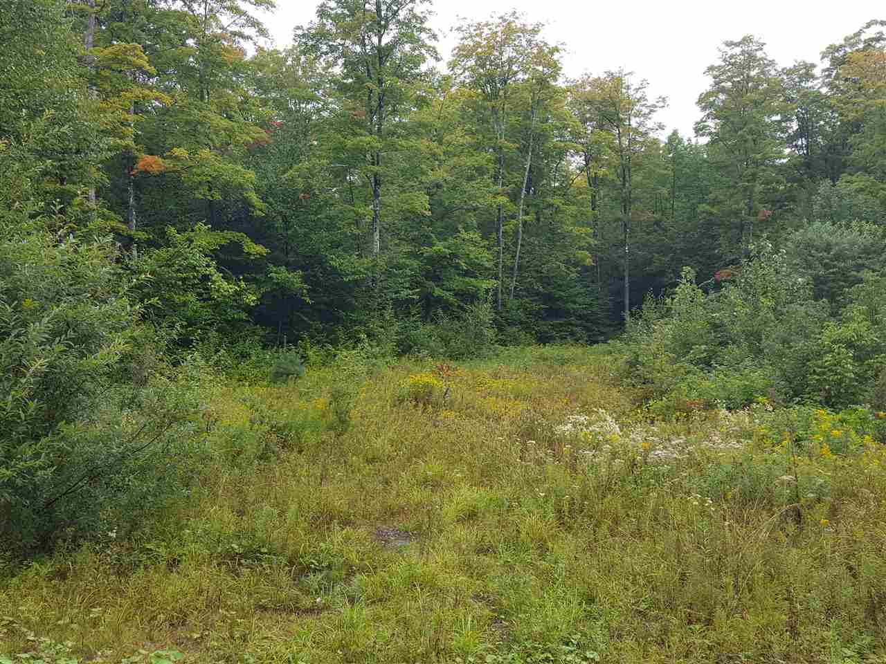 Emerson Road Topsham, VT 05076 - Photo 6 of 11