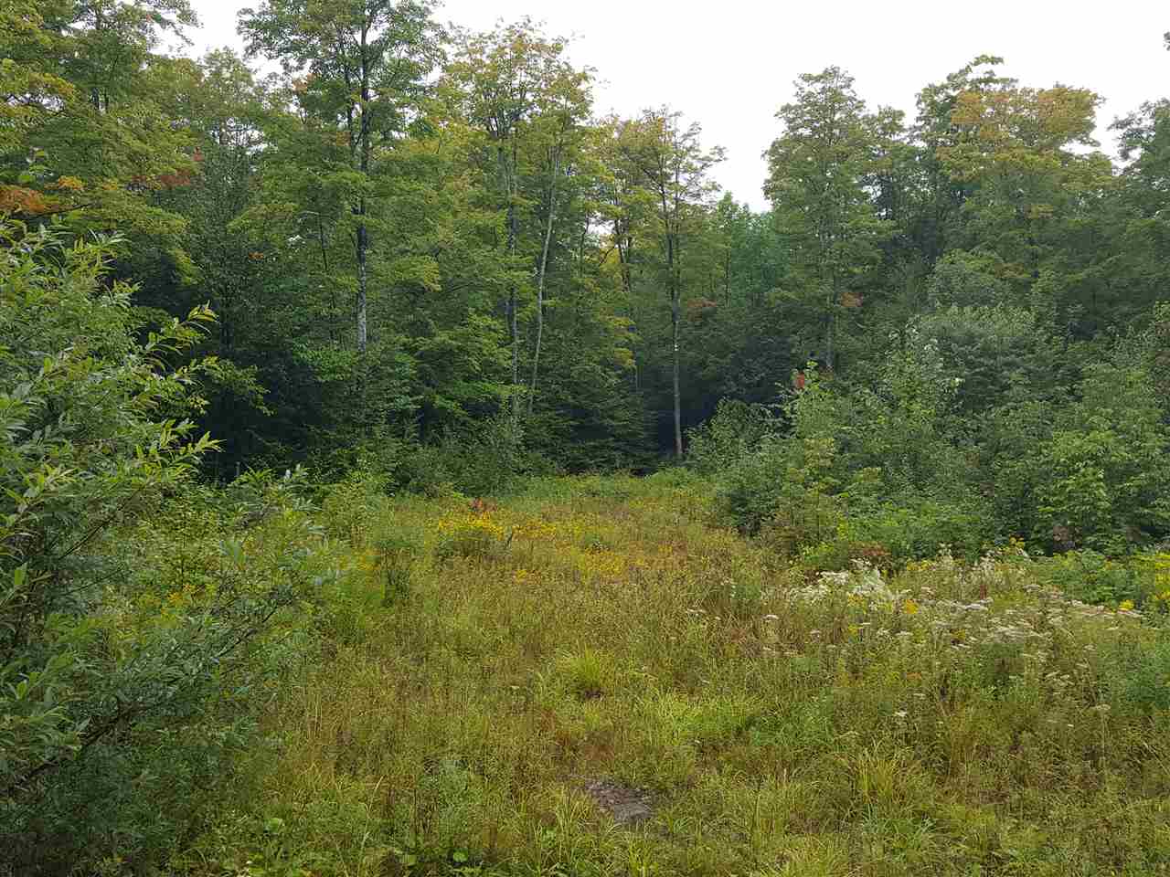 Emerson Road Topsham, VT 05076 - Photo 8 of 11