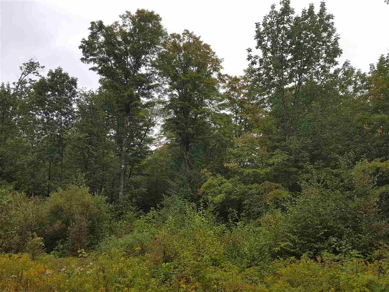 Emerson Road Topsham, VT 05076 - Photo 9 of 11