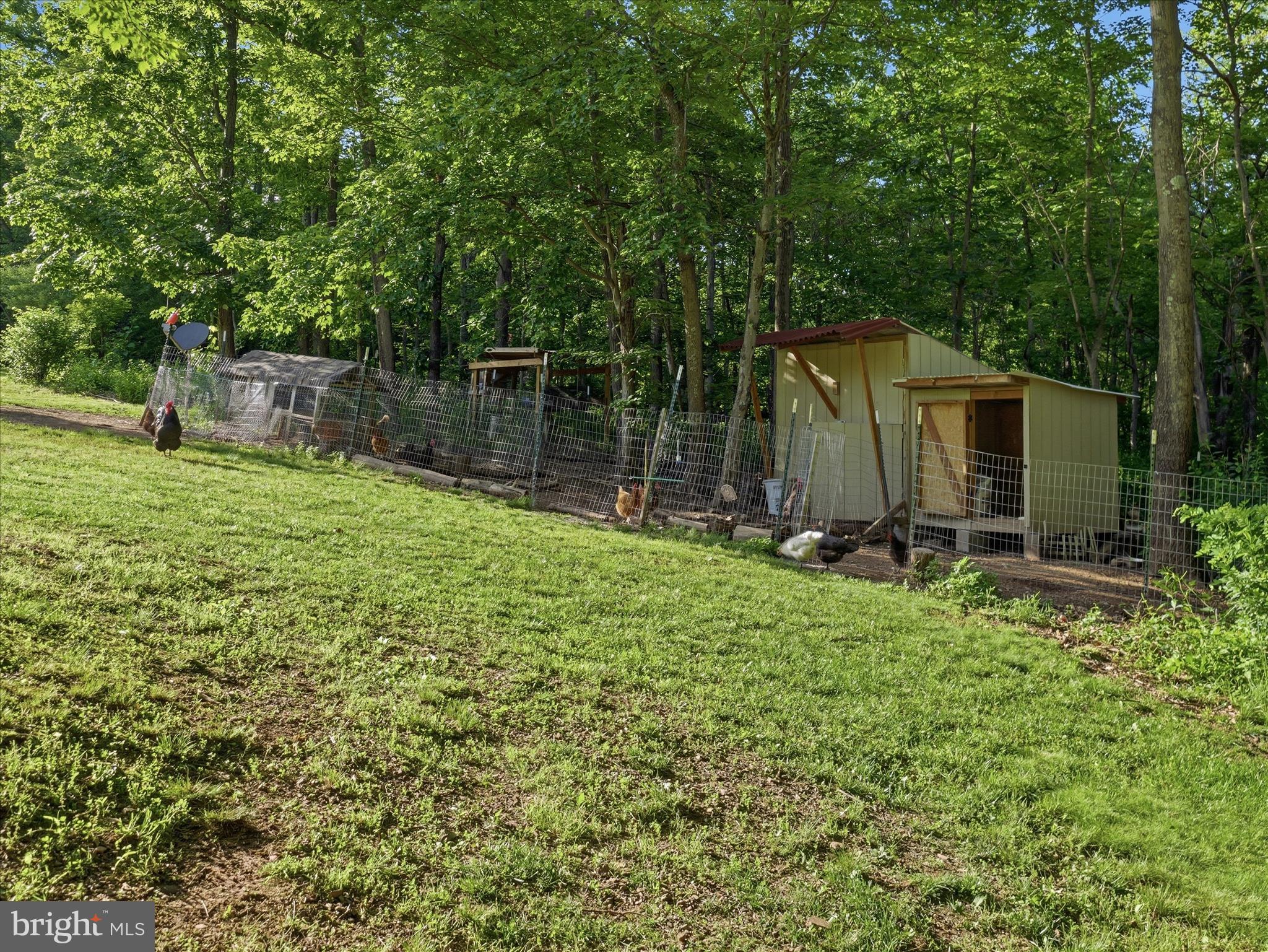 286 Tub Run Hollow Road Hedgesville, WV 25427 - Photo 70 of 72 The chicken coop stays!