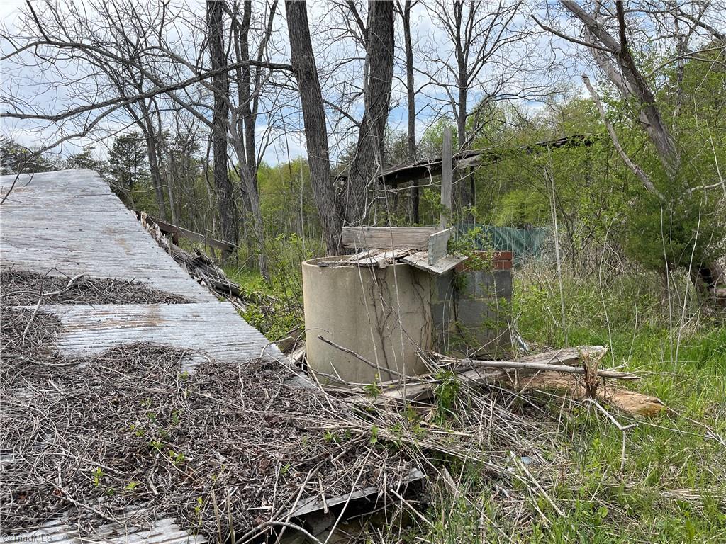 1408 Stevens Road Westfield, NC 27053 - Photo 25 of 31 possibly old well