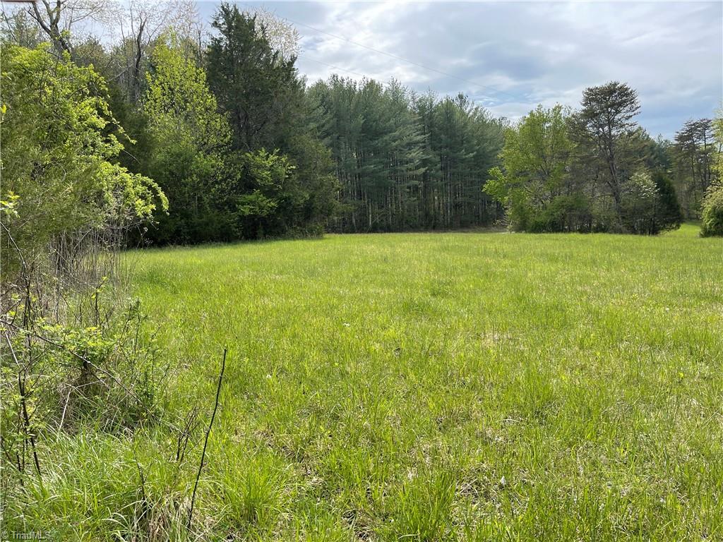 1408 Stevens Road Westfield, NC 27053 - Photo 29 of 31 field next to home