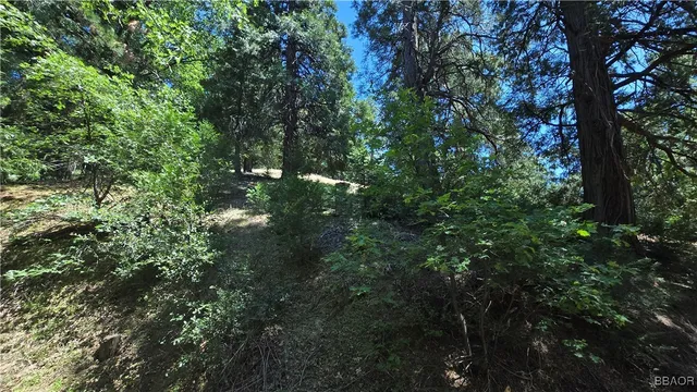 $4,499 | 22494 Mojave River Road, Cedarpines Park, CA 92322