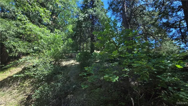 $4,499 | 22494 Mojave River Road, Cedarpines Park, CA 92322