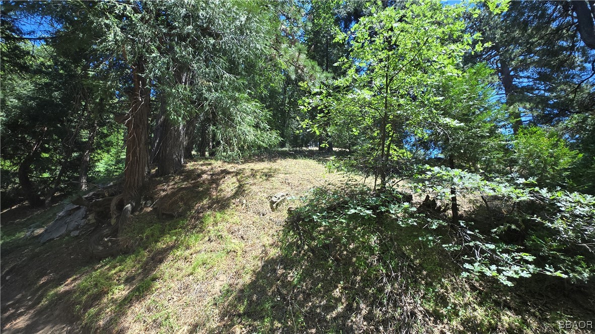 22494 Mojave River Road Cedarpines Park, CA 92322 - Photo 3 of 10