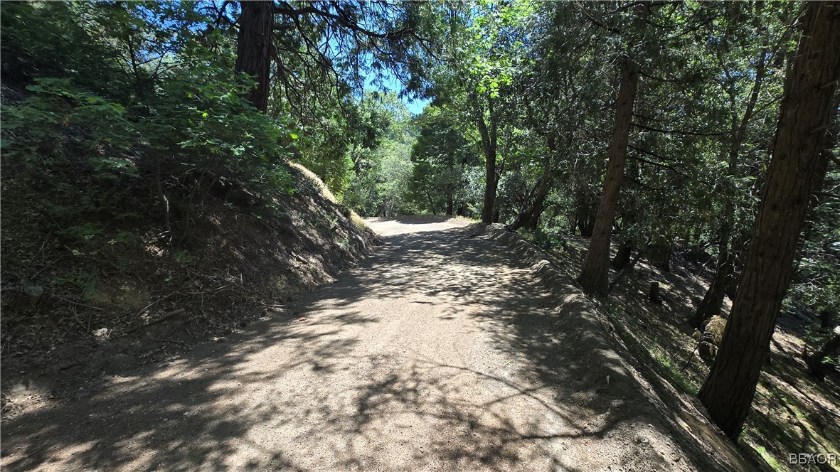 22494 Mojave River Road Cedarpines Park, CA 92322 - Photo 5 of 10