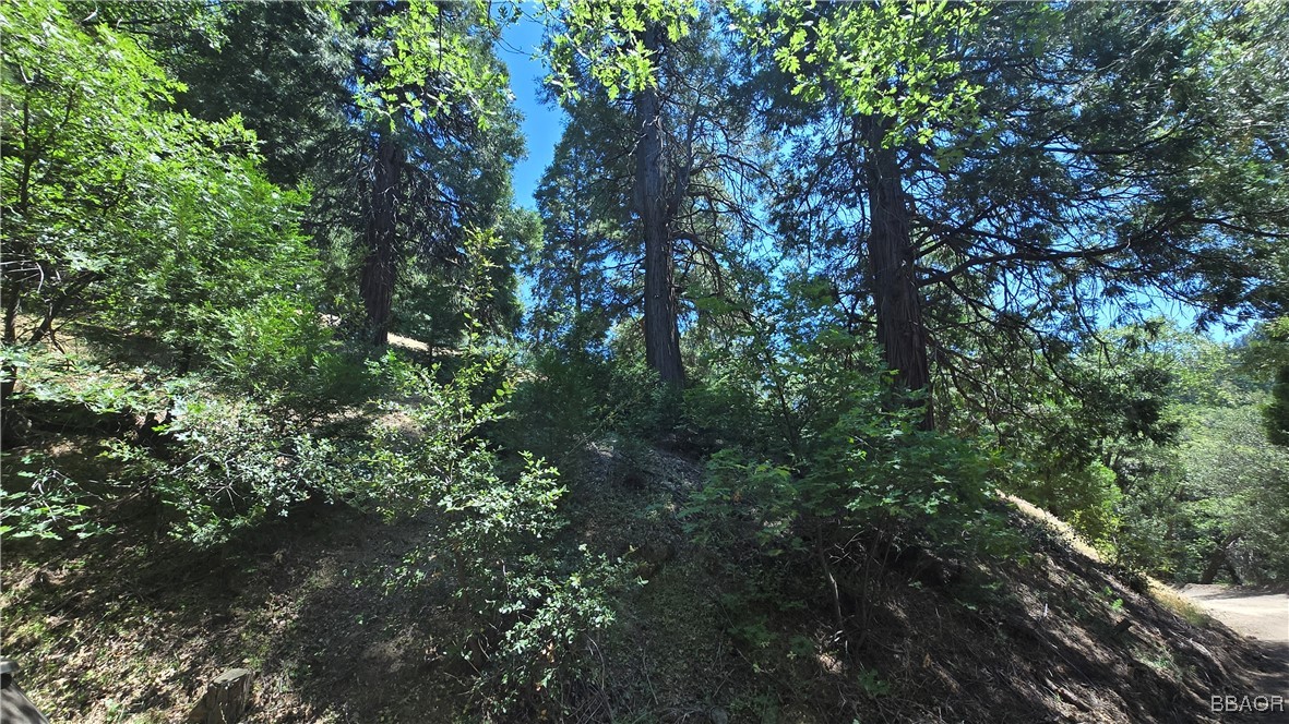 22494 Mojave River Road Cedarpines Park, CA 92322 - Photo 6 of 10