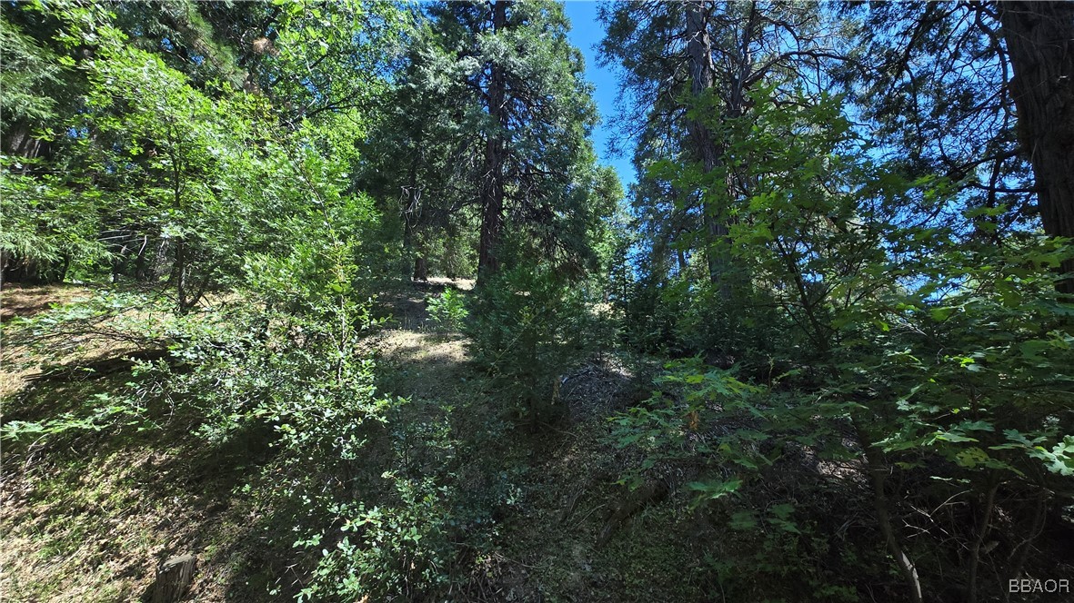 22494 Mojave River Road Cedarpines Park, CA 92322 - Photo 7 of 10