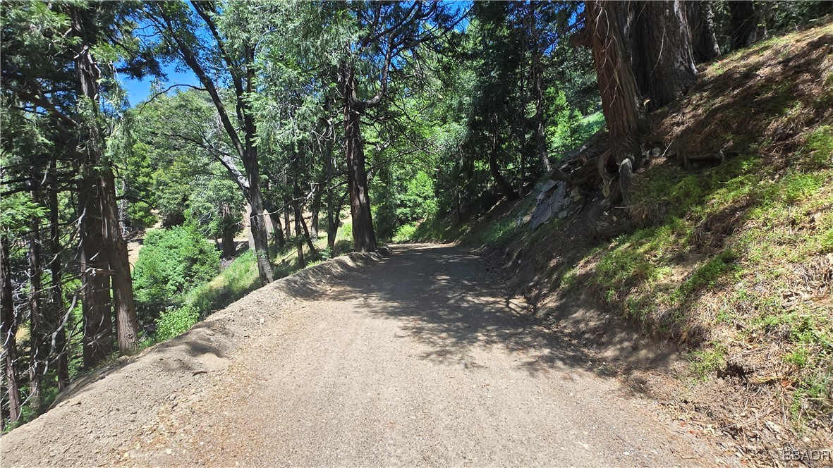 22494 Mojave River Road Cedarpines Park, CA 92322 - Photo 8 of 10