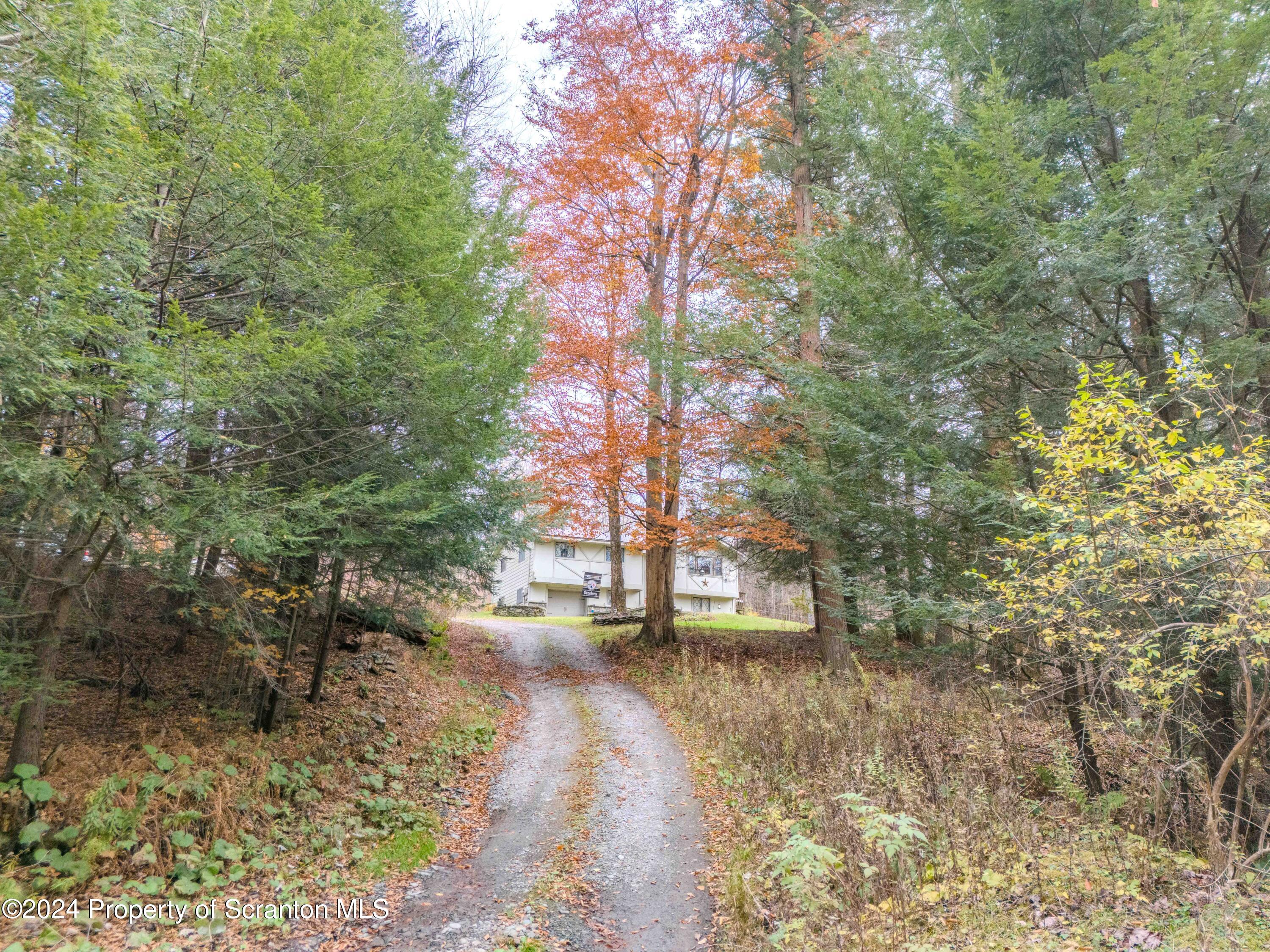 1010 Mud Road Union Dale, PA 18470 - Photo 54 of 82 a view of a street with trees
