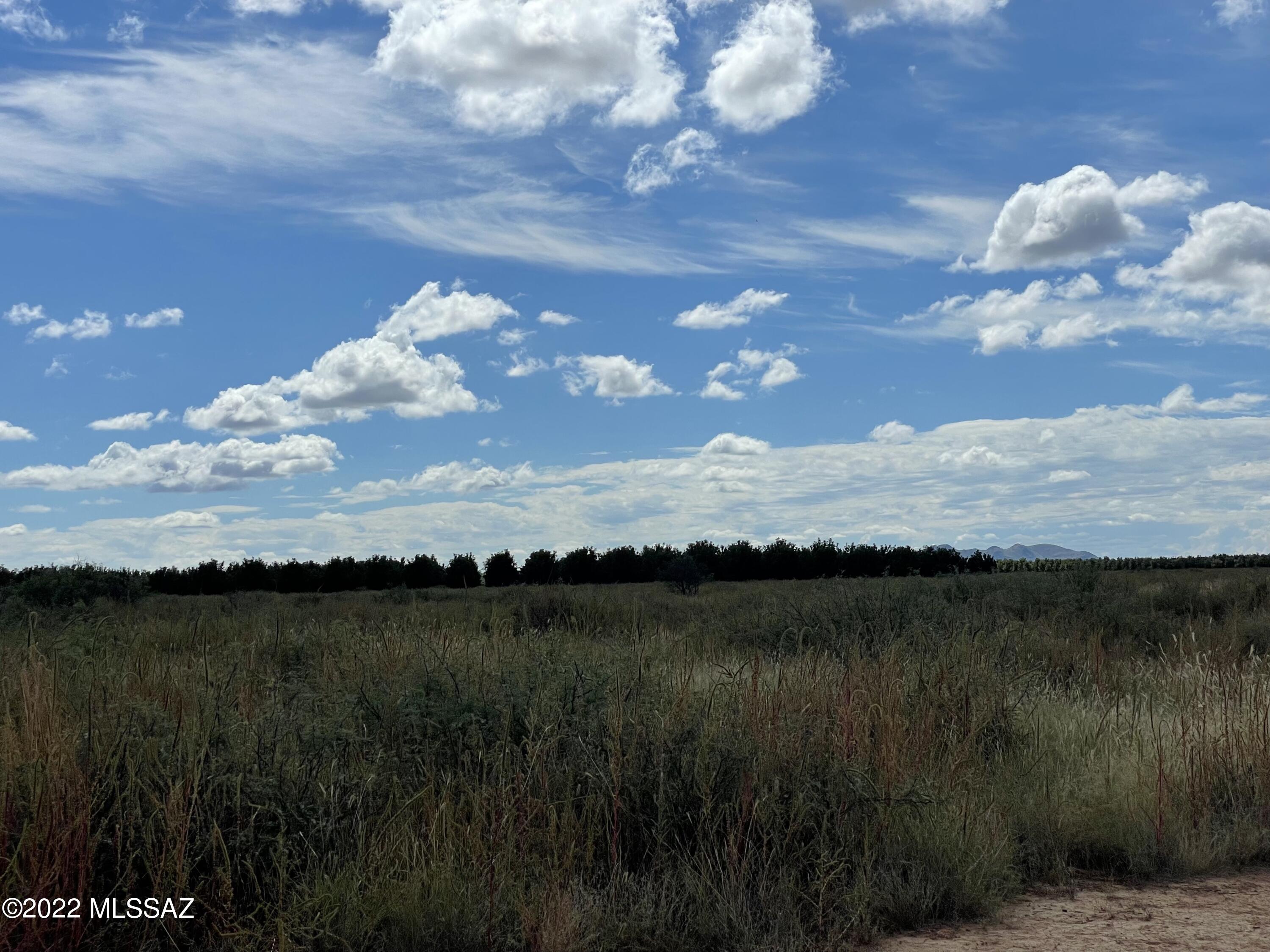 20 Acres Off Of Chambers Road Willcox, AZ 85643 - Photo 9 of 10