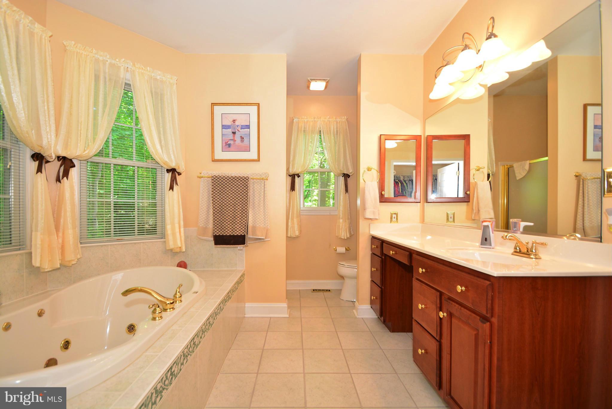 1507 Gunpowder Ridge Road Joppa, MD 21085 - Photo 15 of 29 Bath (Master)