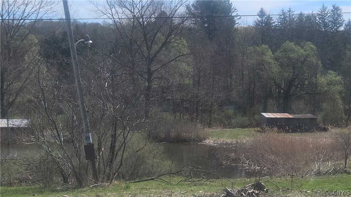 3599 Watervale Road Pompey, NY 13104 - Photo 37 of 48