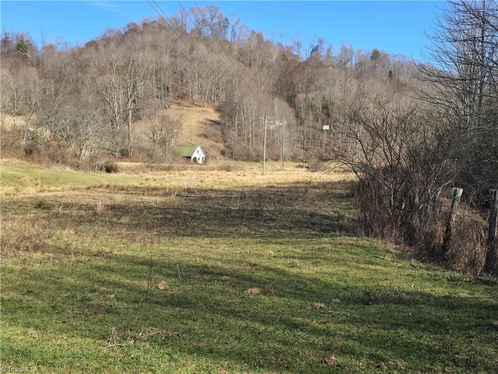 Tbd Roundabout Road Creston, NC 28615 - Photo 11 of 22