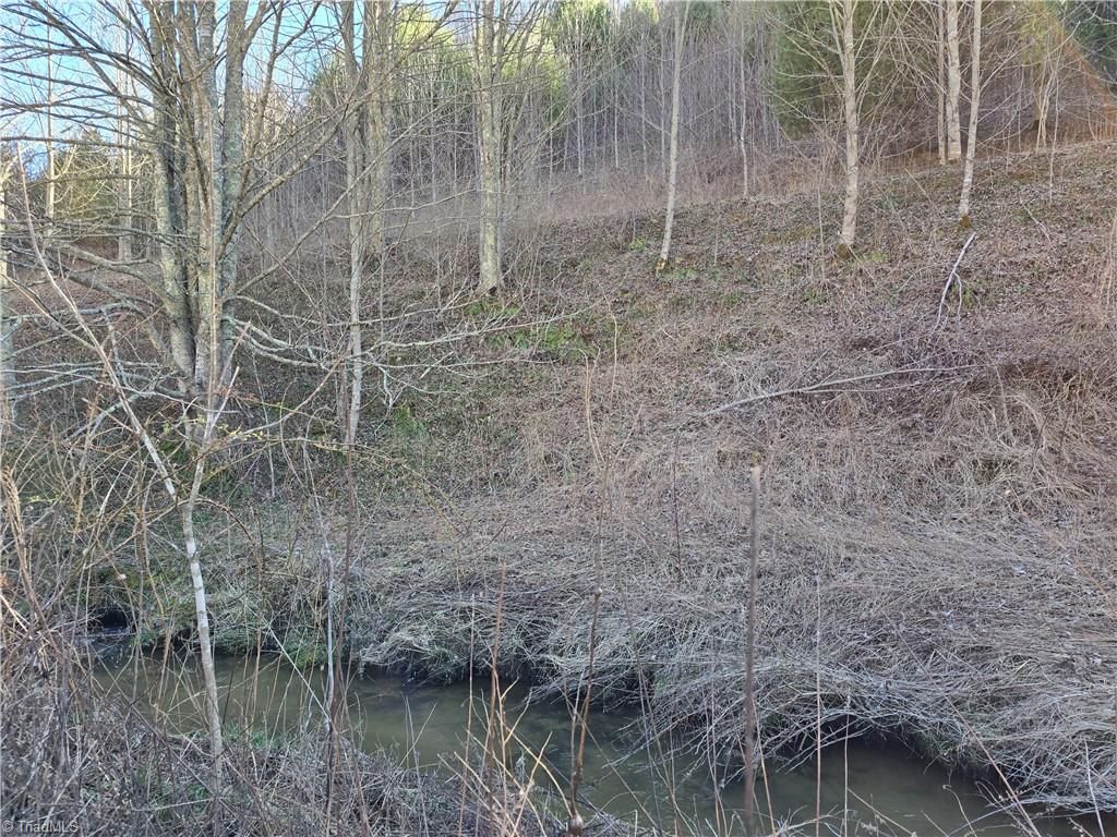 Tbd Roundabout Road Creston, NC 28615 - Photo 14 of 22