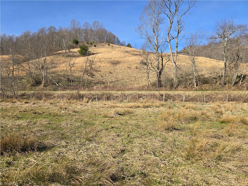 Tbd Roundabout Road Creston, NC 28615 - Photo 15 of 22