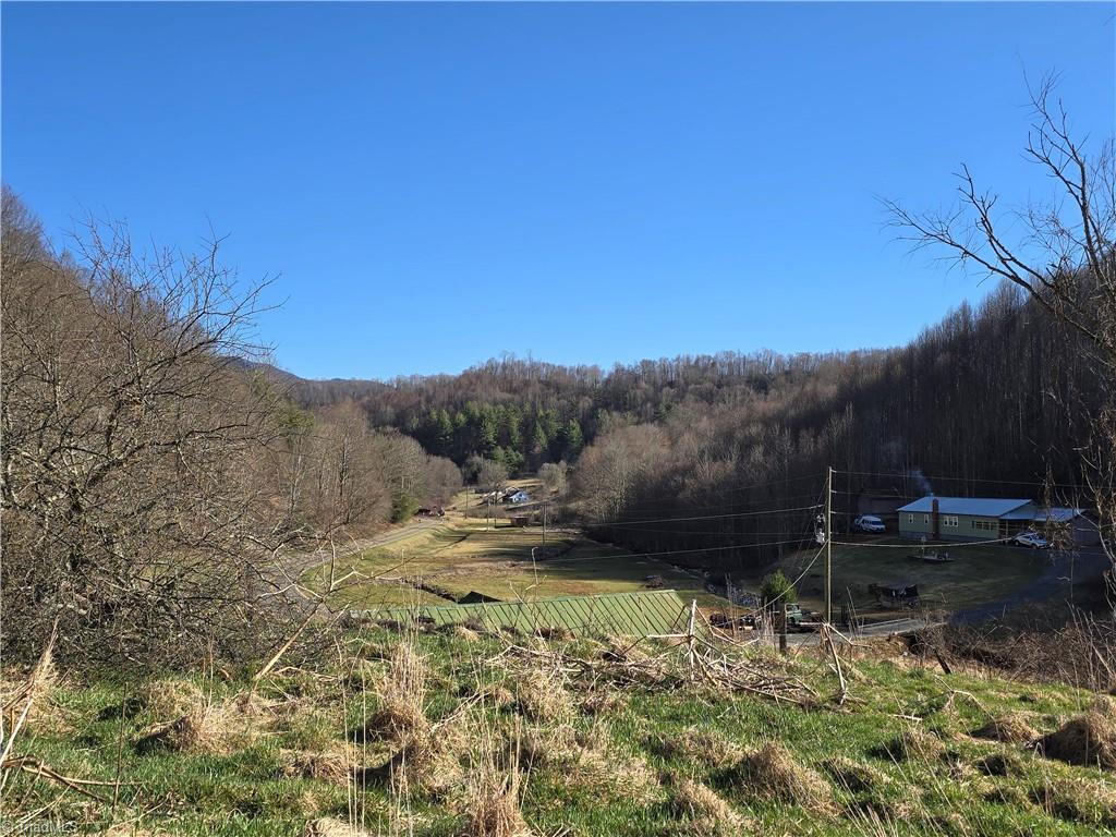 Tbd Roundabout Road Creston, NC 28615 - Photo 17 of 22